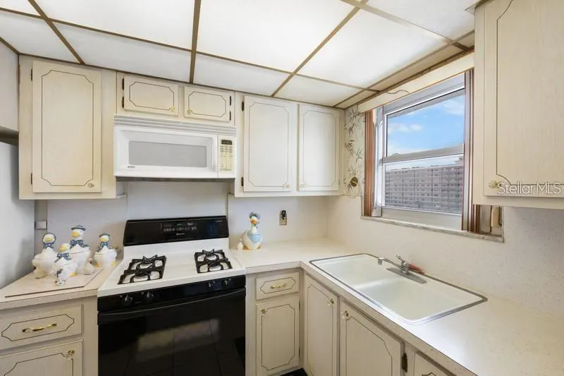 5925 SHORE BLVD S #602, #602