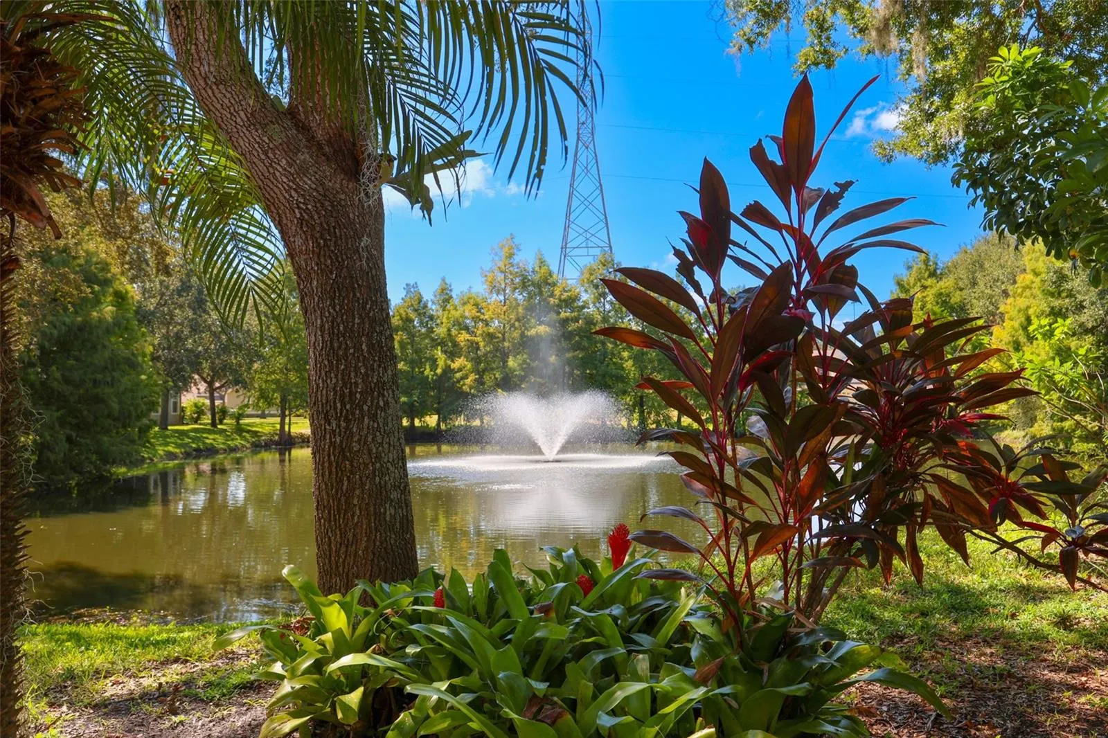 611 SPRING LAKE CIR