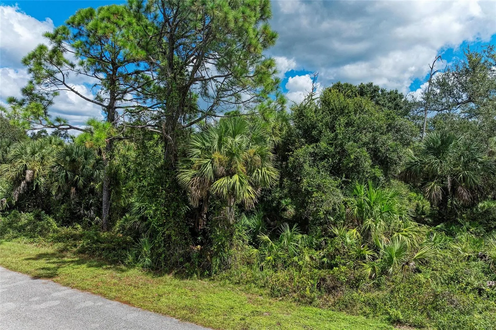 Lot 25 BILLINGHAM LN