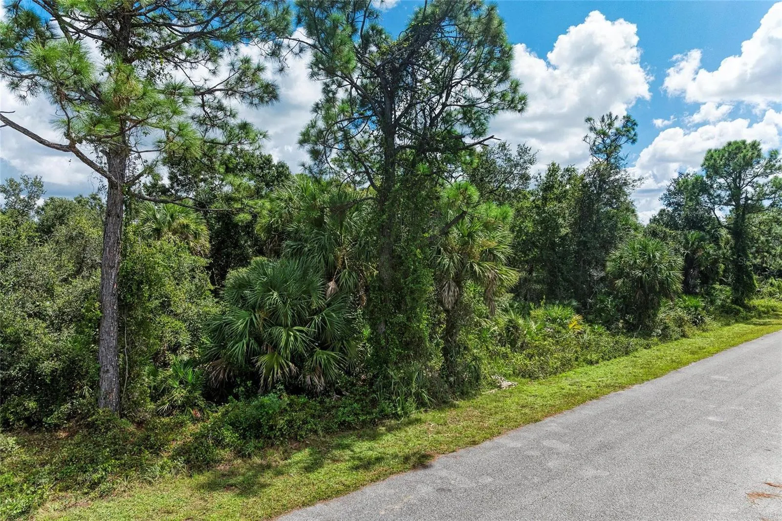 Lot 25 BILLINGHAM LN