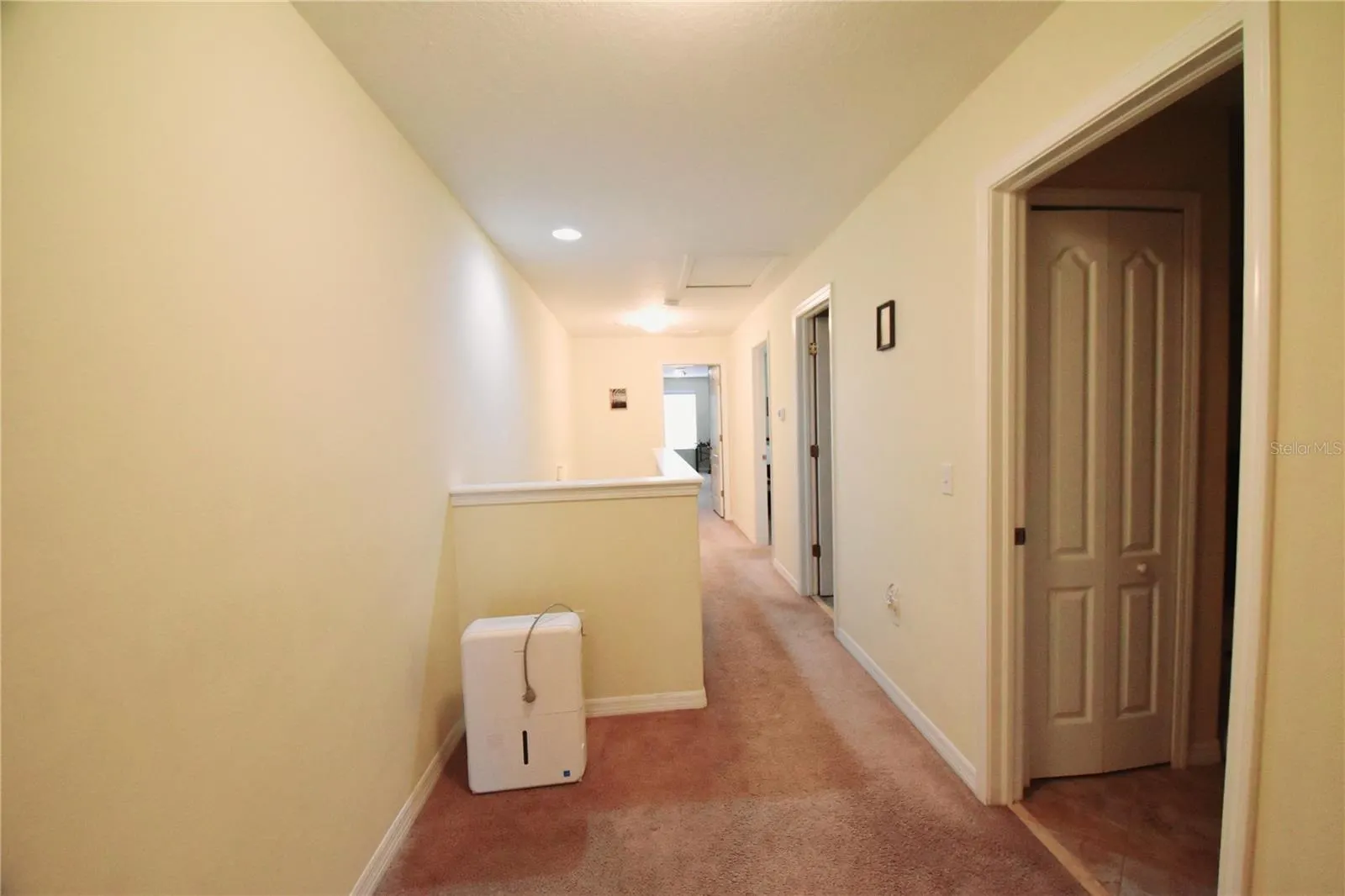 9540 TRUMPET VINE LOOP