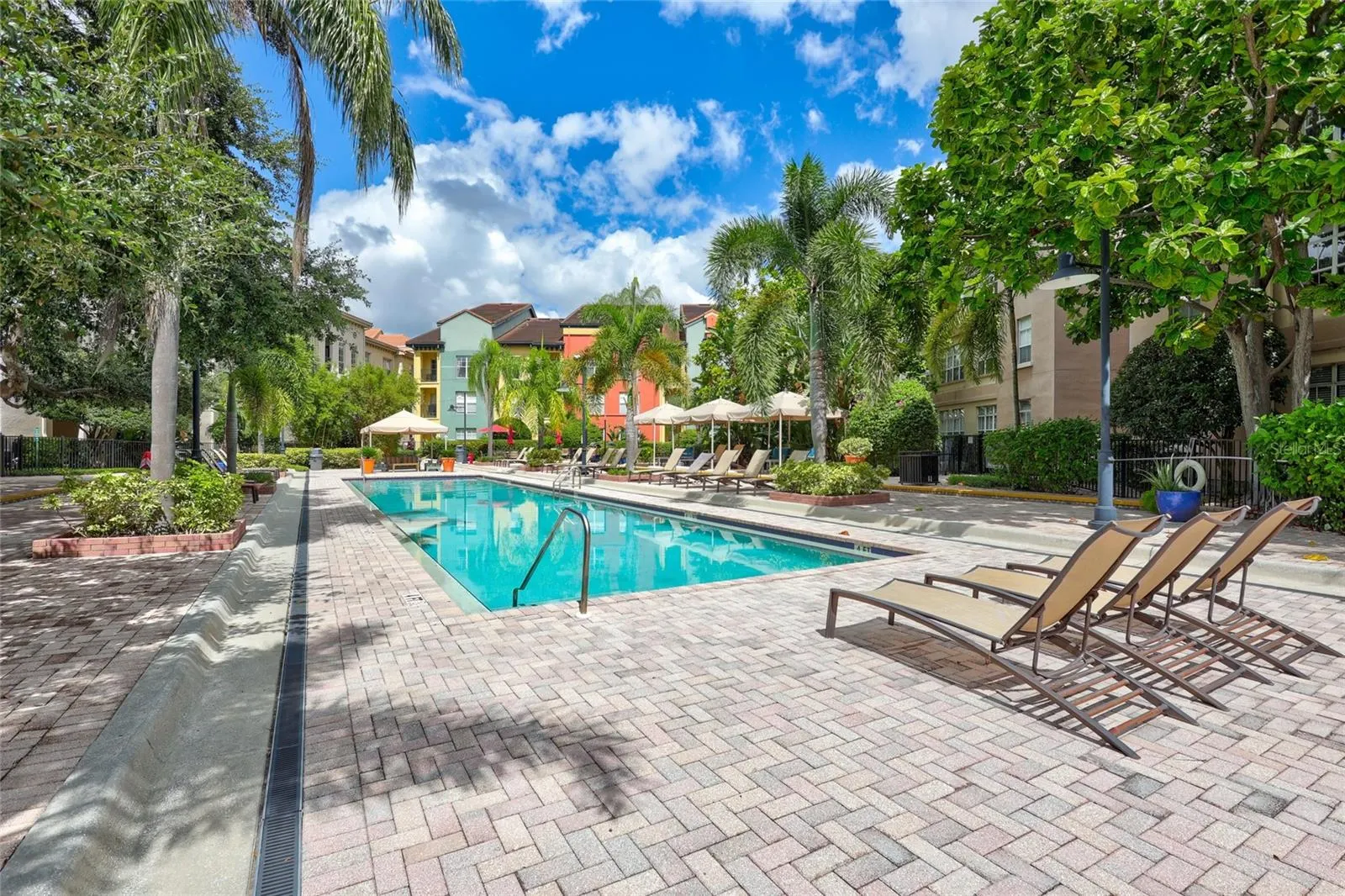 2421 W HORATIO ST #820, #820