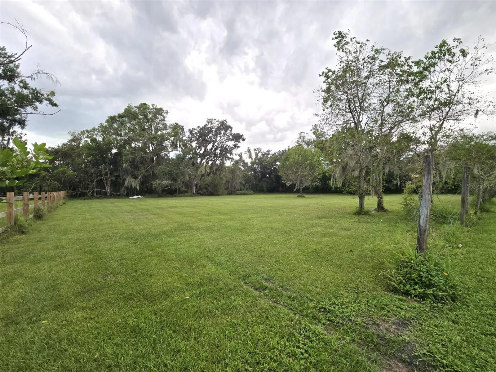 3301 MEDULLA RD