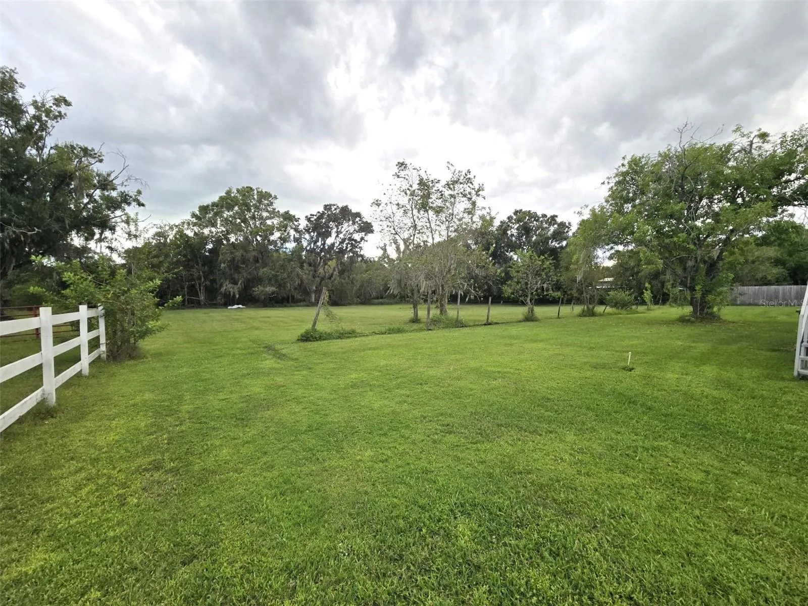 3301 MEDULLA RD