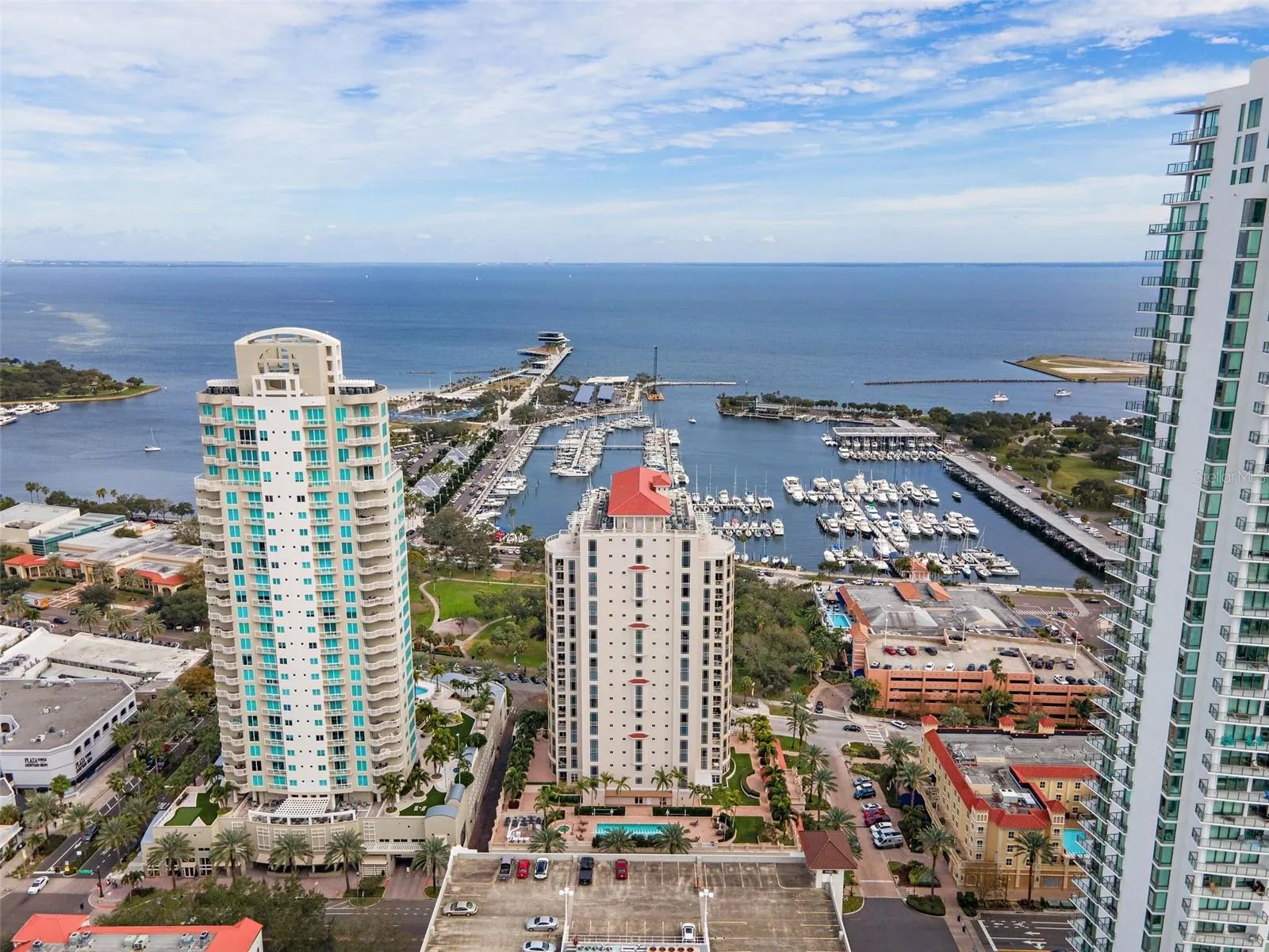 100 BEACH DR NE #301, #301