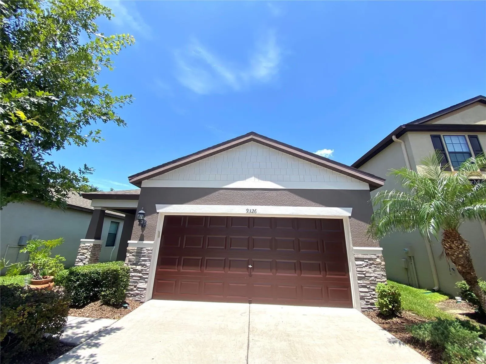 9326 SAPPHIREBERRY