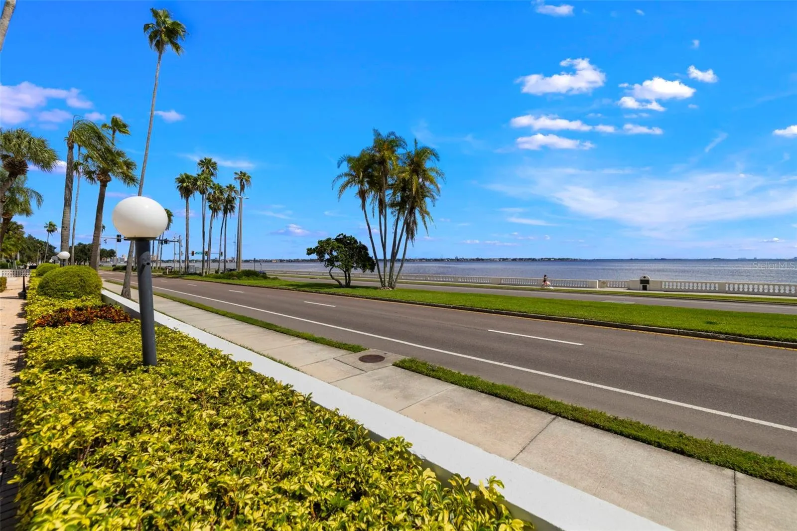 2401 BAYSHORE BLVD #803, #803