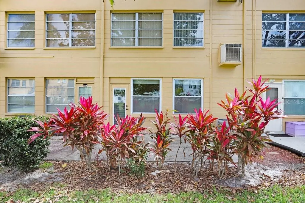 2466 ECUADORIAN WAY #6, #6