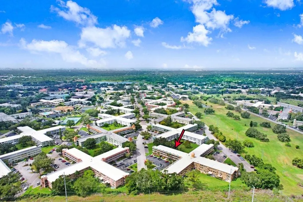 2466 ECUADORIAN WAY #6, #6