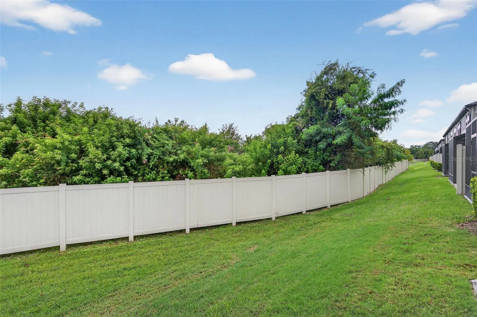 2419 FOGGY CREEK CIR