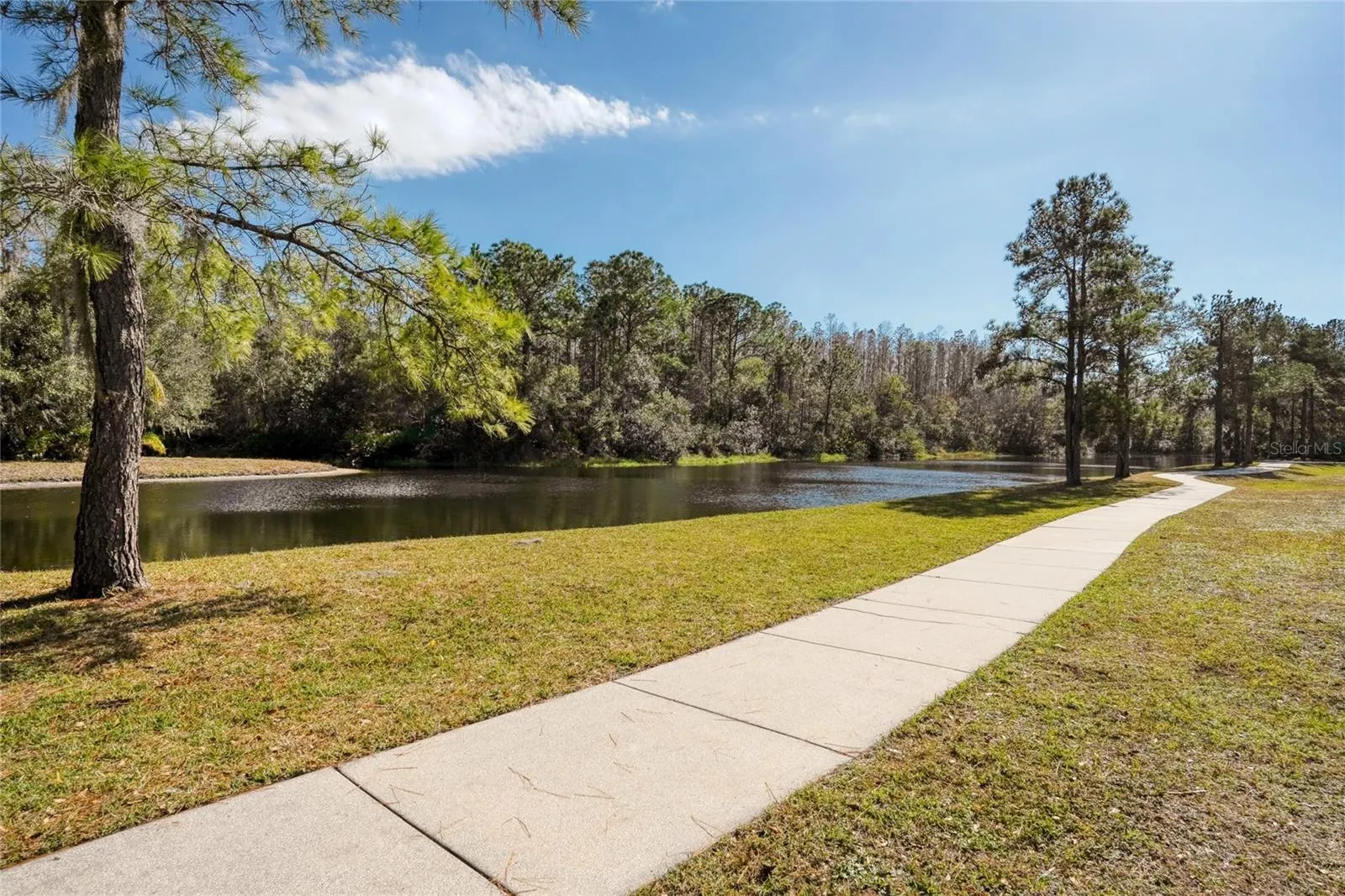 12922 RED CARDINAL DR