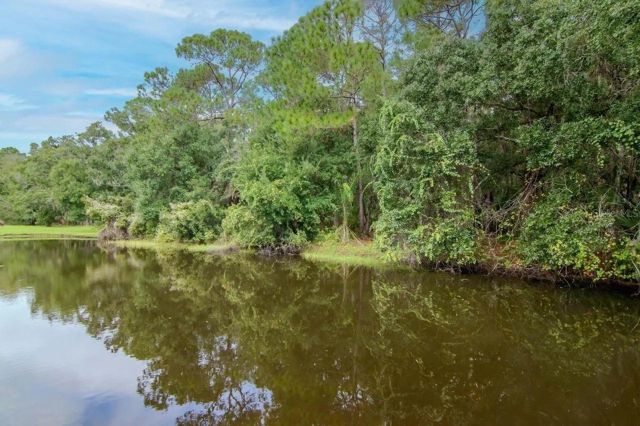 314 FOUNTAINVIEW CIR