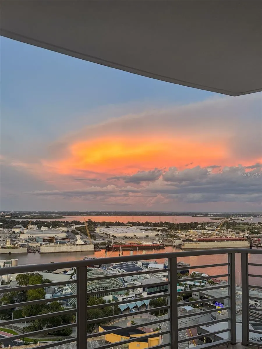 1209 E CUMBERLAND AVE #2404, #2404