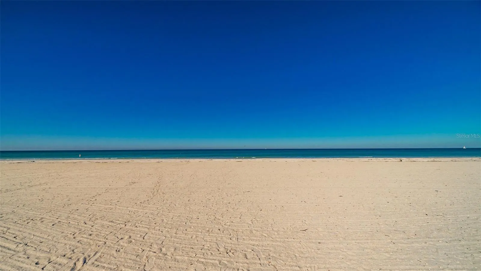 1460 GULF BLVD #811, #811
