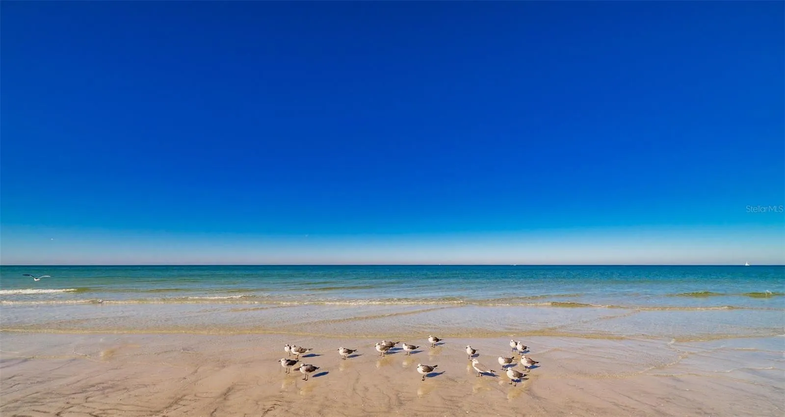 1460 GULF BLVD #811, #811