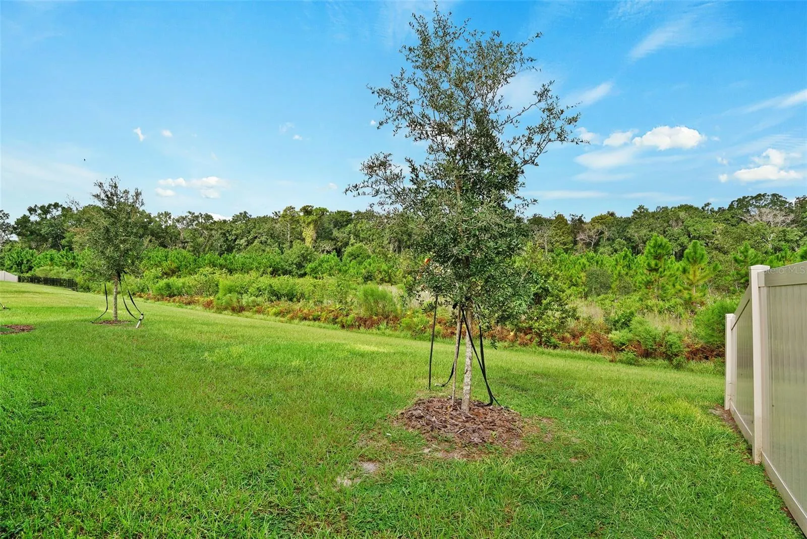16819 SHELL BAY DR