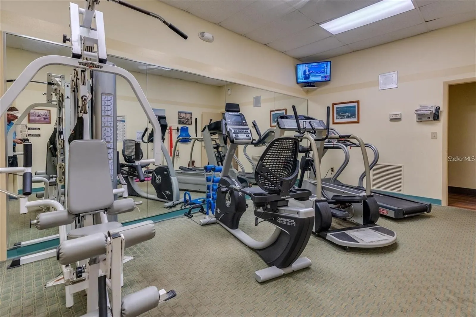 4550 COVE CIR #704, #704