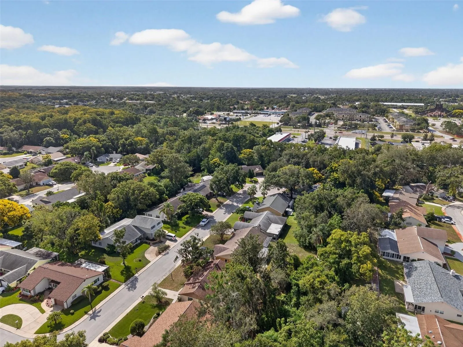 12111 CAMP CREEK LN