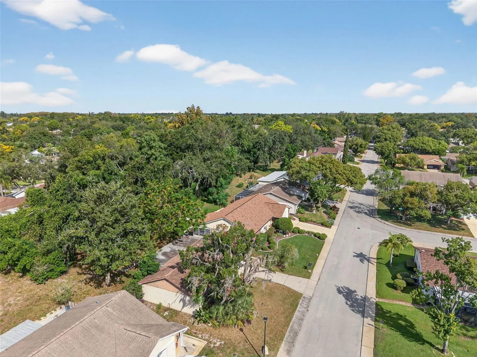 12111 CAMP CREEK LN