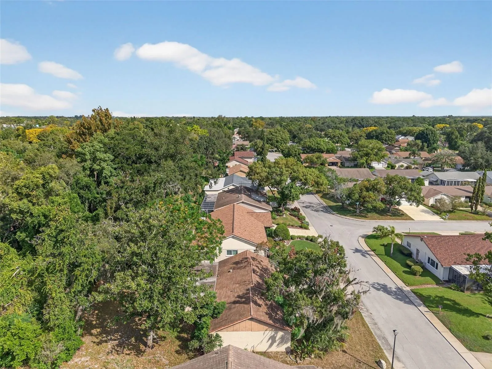 12111 CAMP CREEK LN