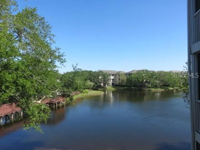 4115 CHATHAM OAK CT #211, #211