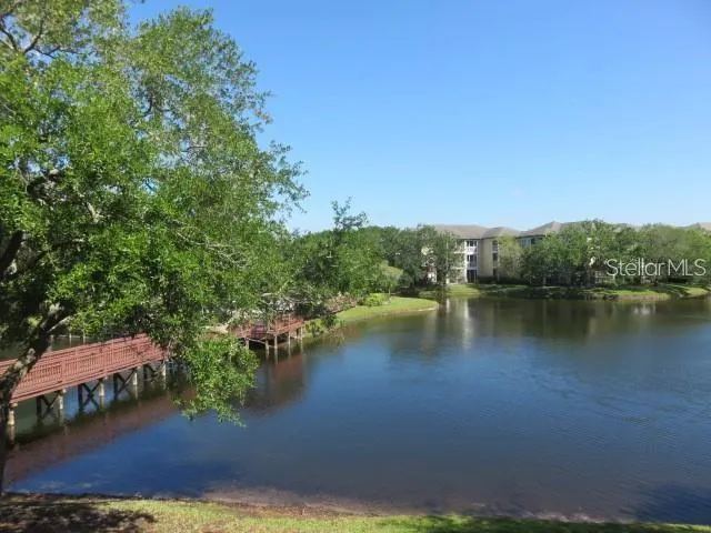 4115 CHATHAM OAK CT #211, #211