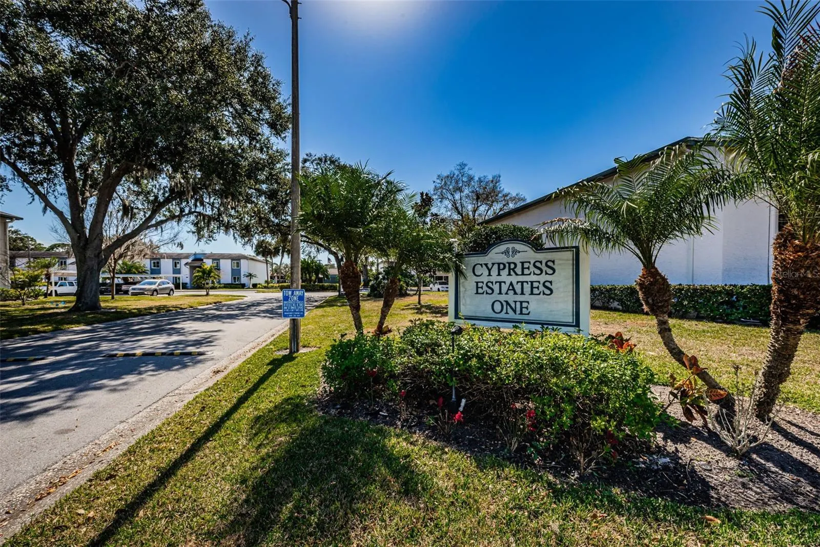 146 CYPRESS LN
