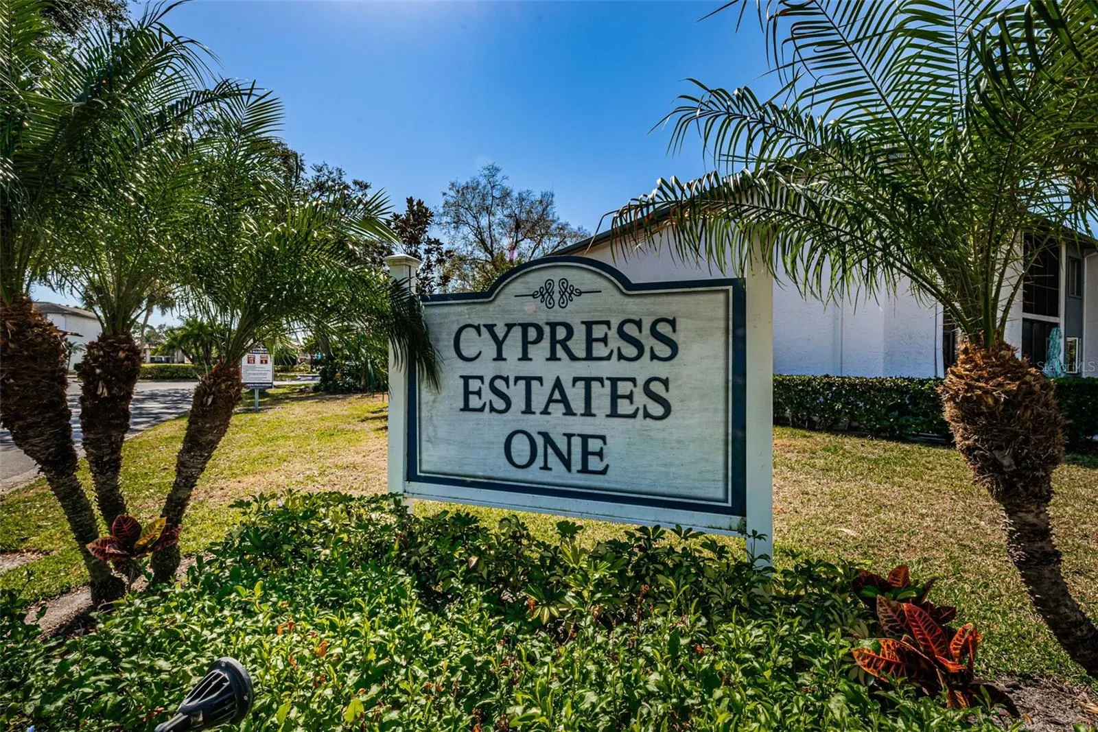 146 CYPRESS LN