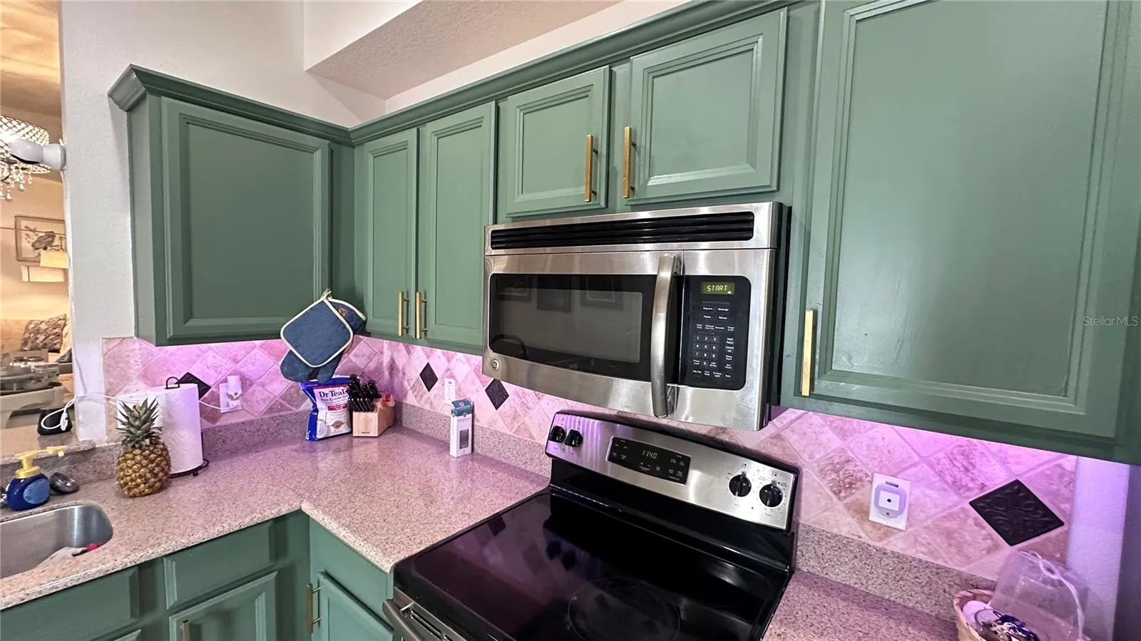 525 WATERSIDE POINTE DR