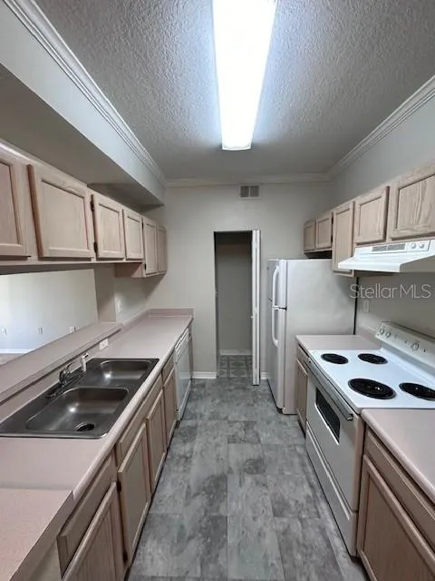 5612 PINNACLE HEIGHTS CIR #306, #306