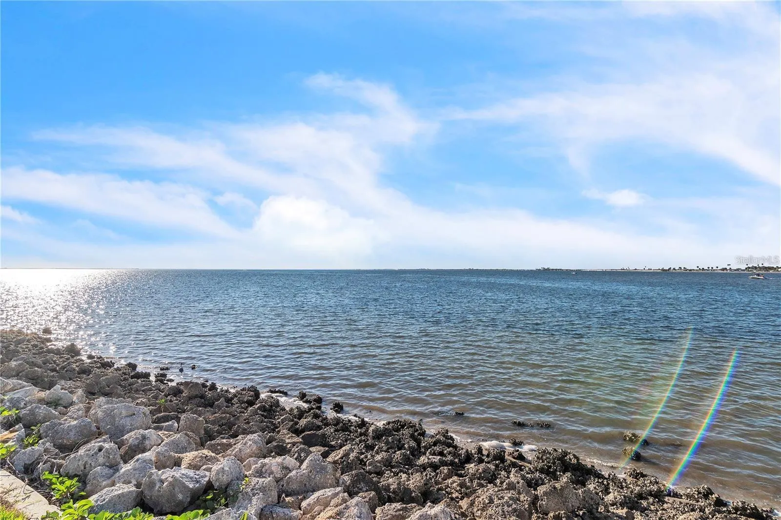 2506 N ROCKY POINT DR #237, #237
