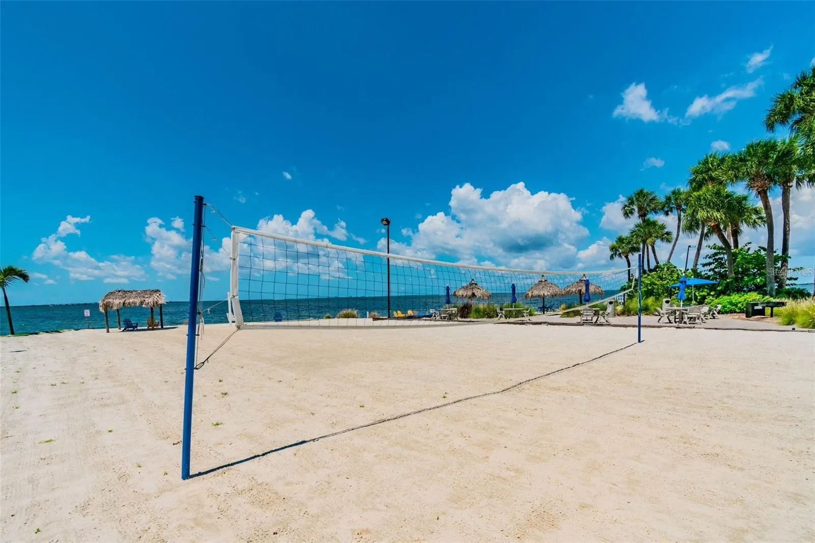 2506 N ROCKY POINT DR #237, #237