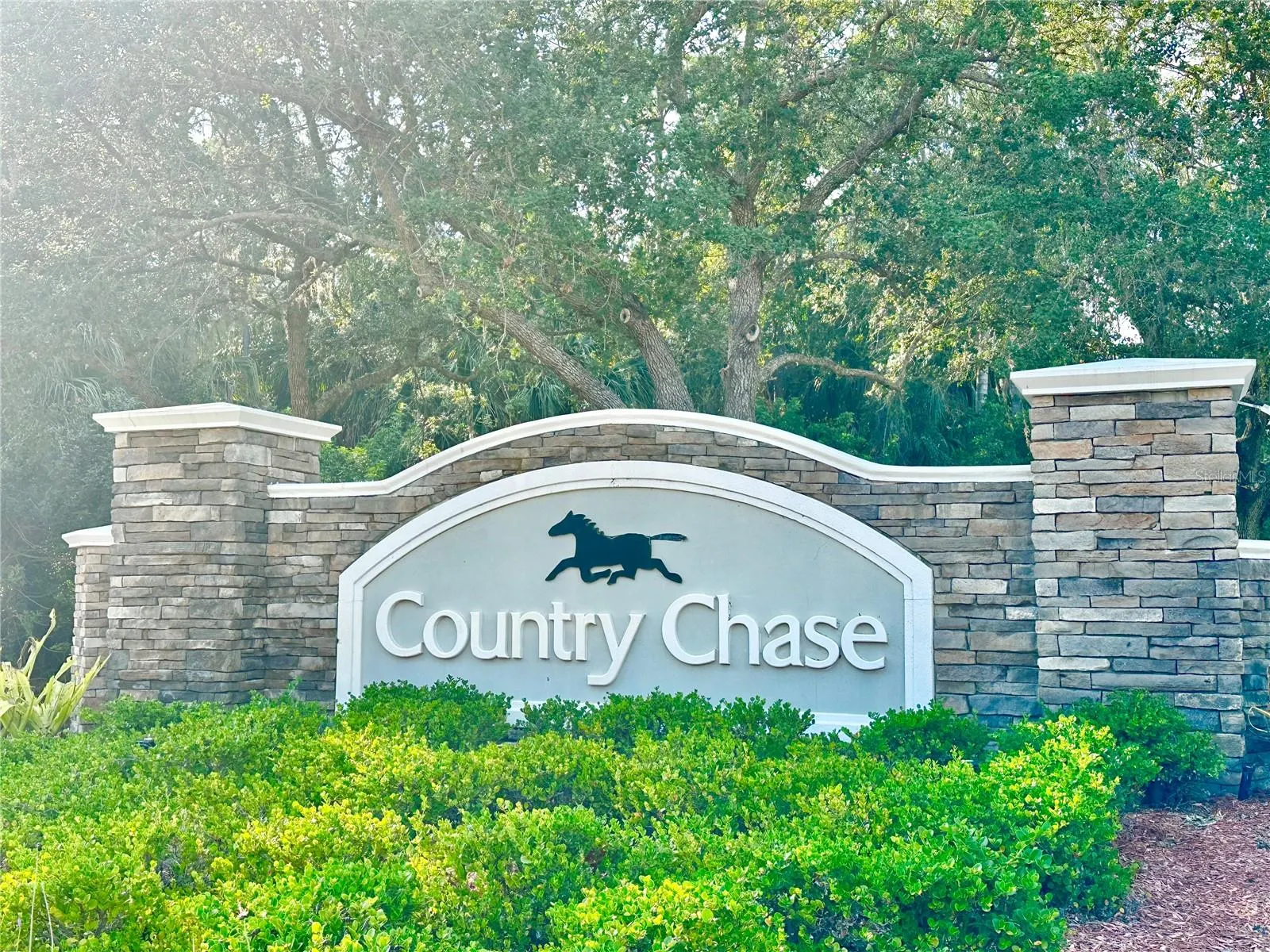 12249 COUNTRY WHITE CIR