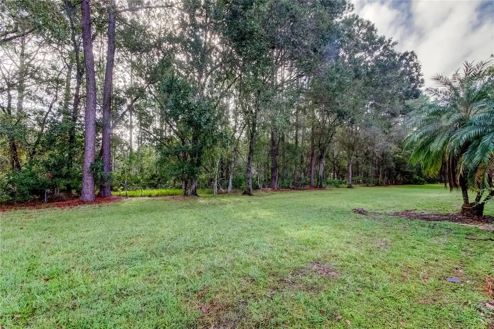 4409 CONNERY CT