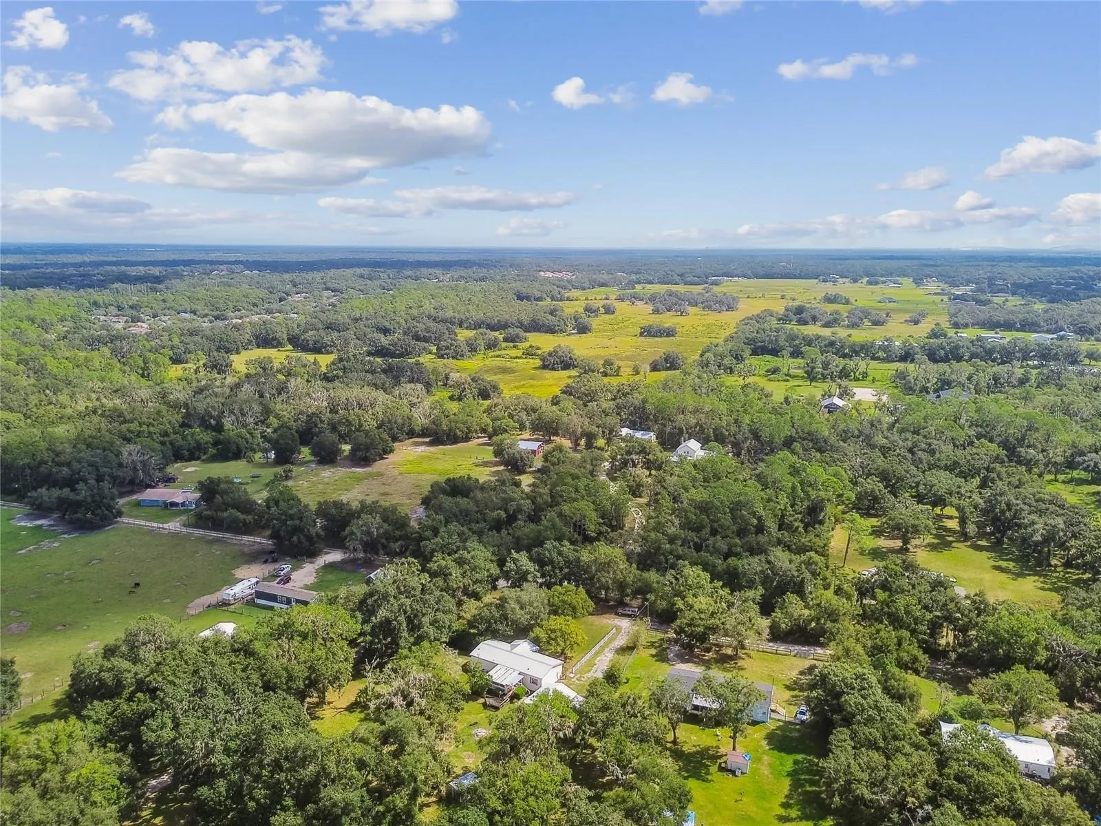 18818 HOLLY PINE TRL