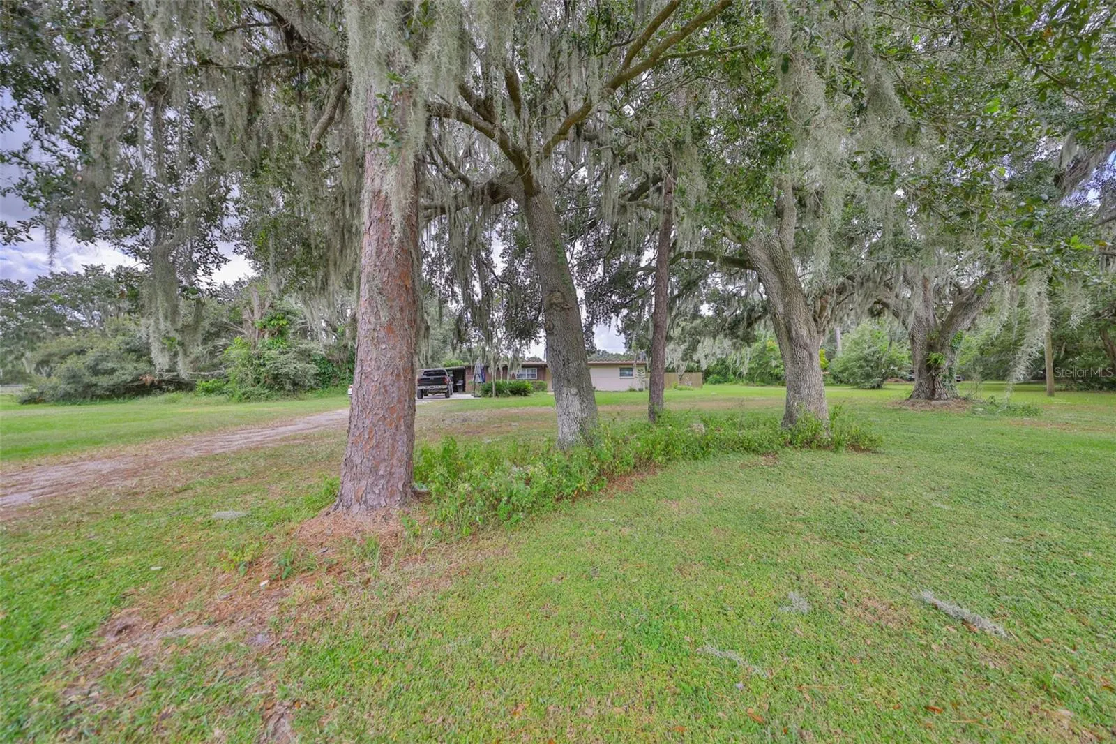 3430 CRIBBS DR