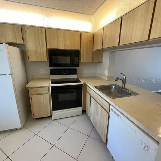 1964 LAUGHING GULL LN #1316, #1316