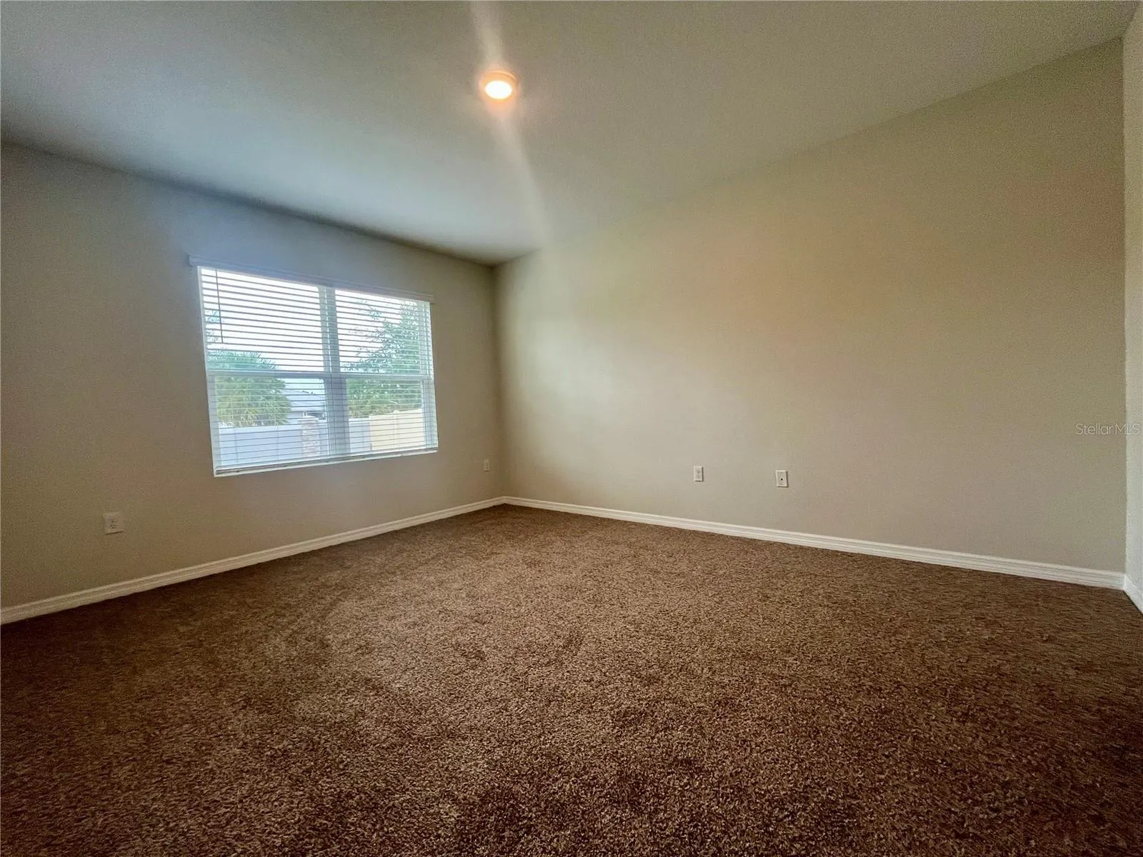 531 AUBURN GROVE TER