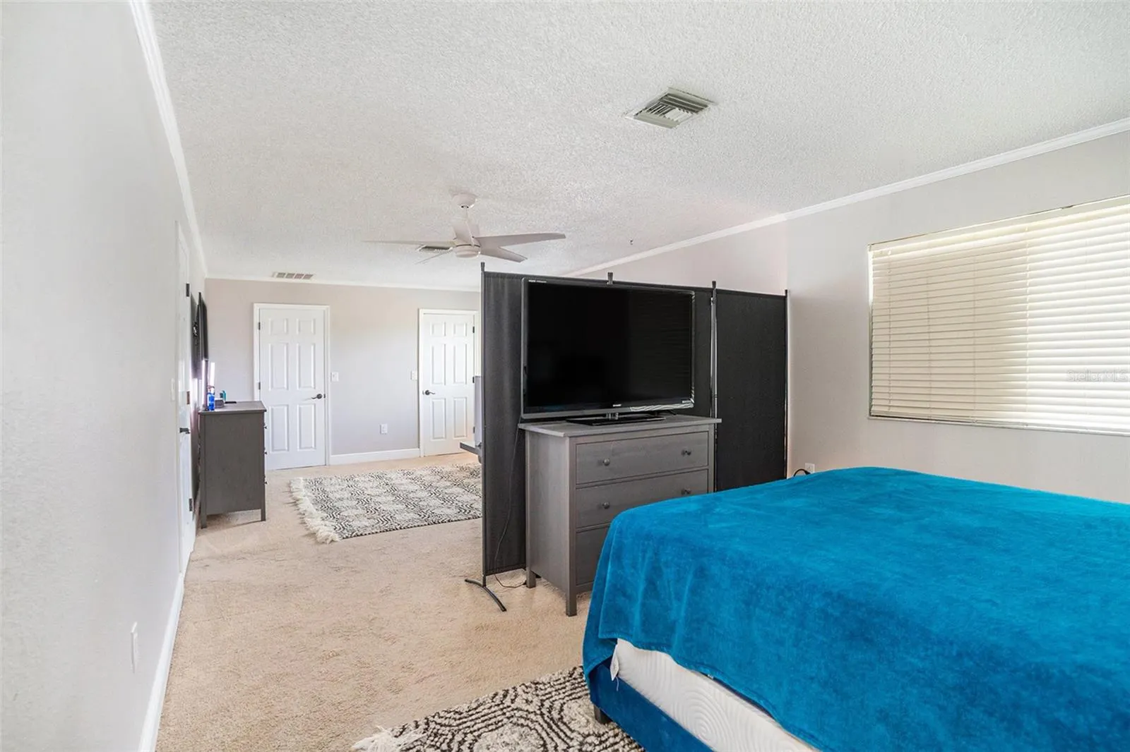 736 SANDY CREEK DR