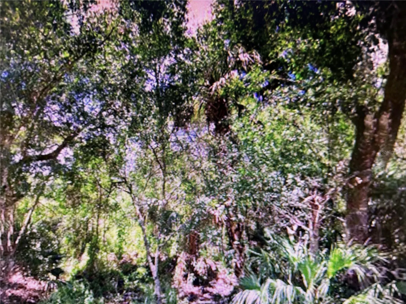 15432 PIEDMONT AVE