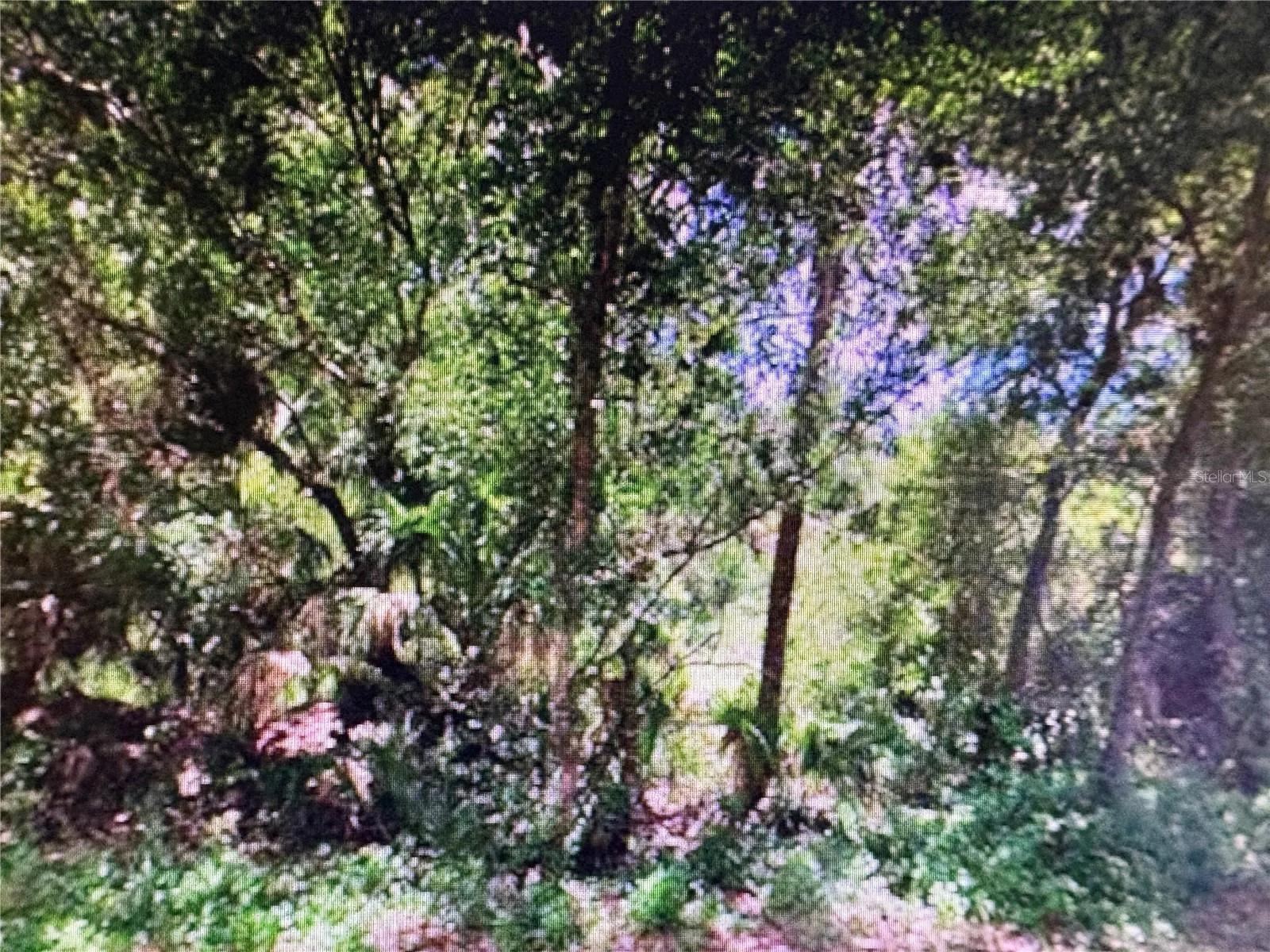 15432 PIEDMONT AVE