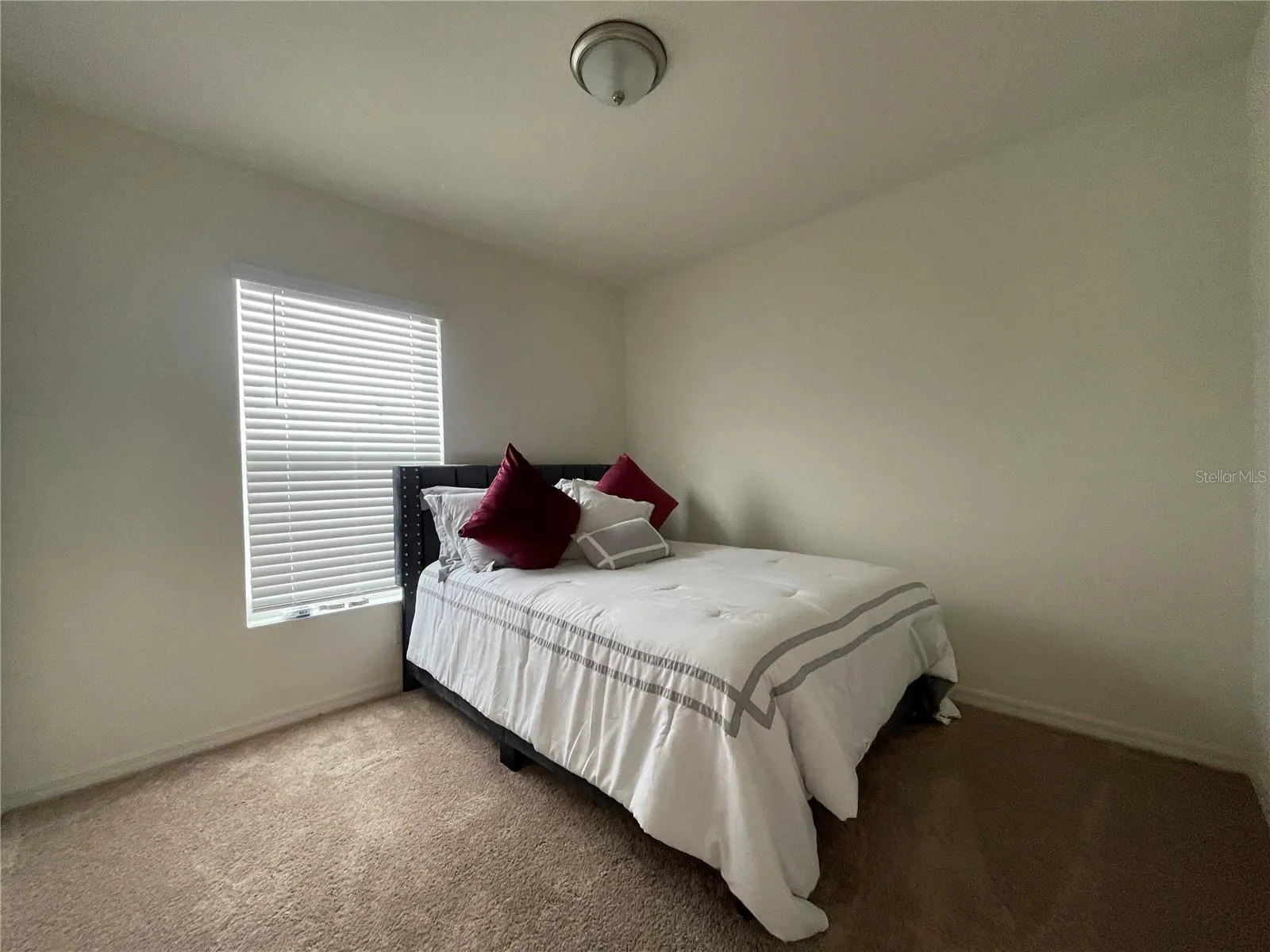 7115 CRUZ CT