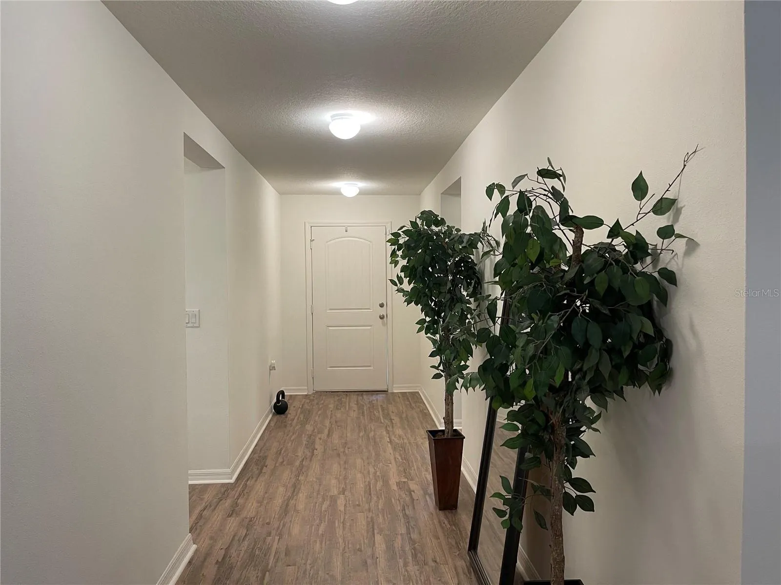 7115 CRUZ CT