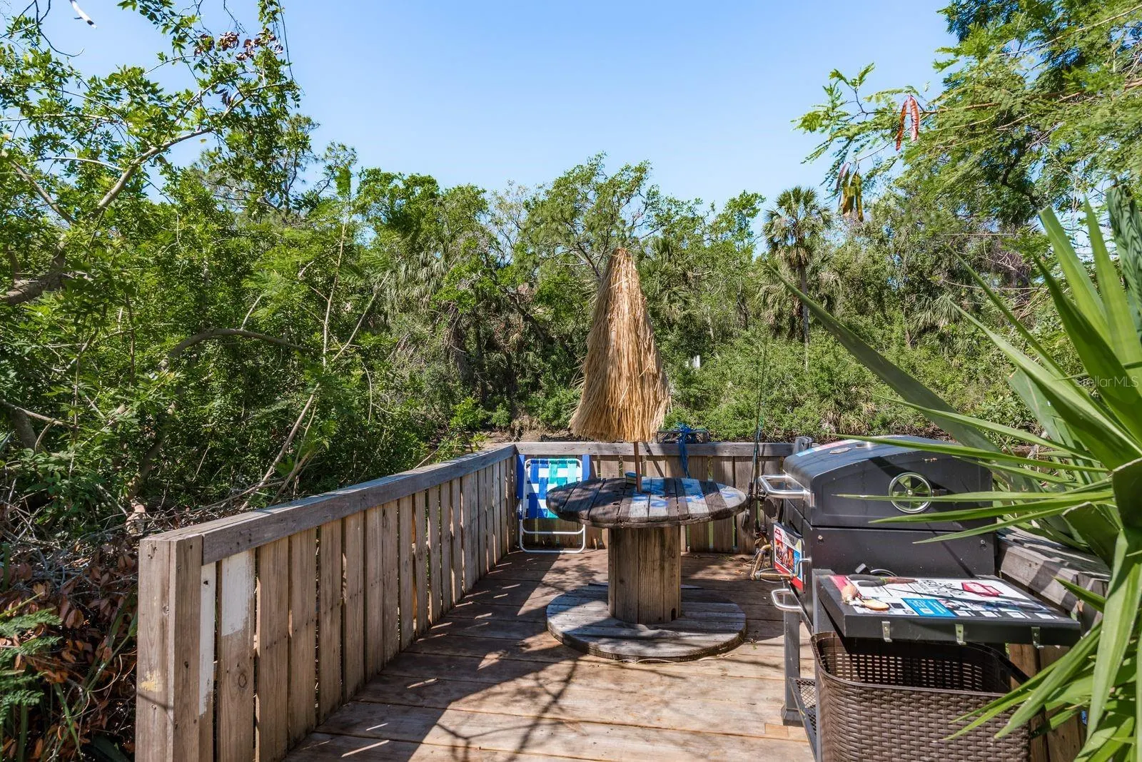 8423 JACKSON SPRINGS RD