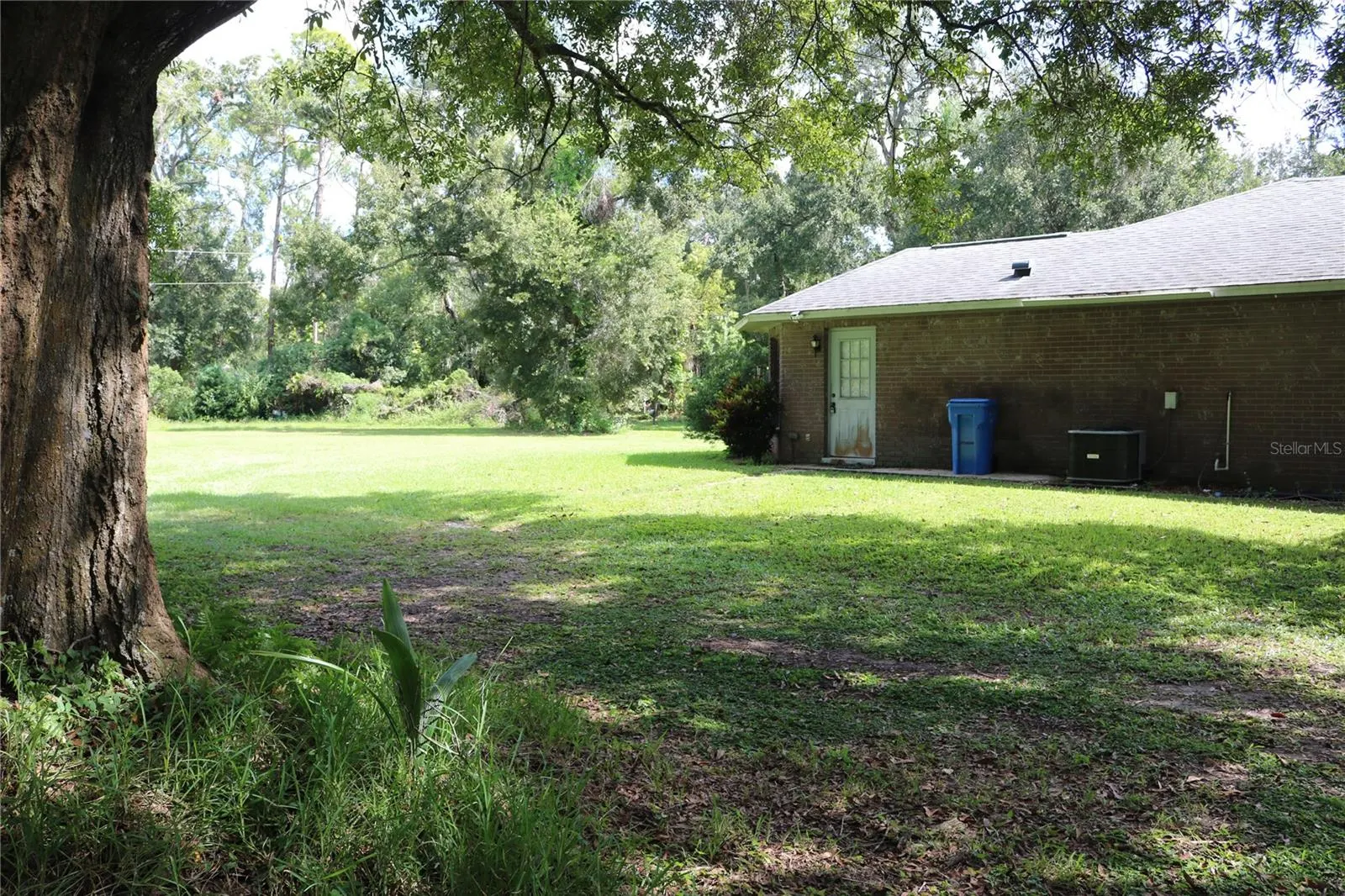 14204 WALDEN SHEFFIELD RD