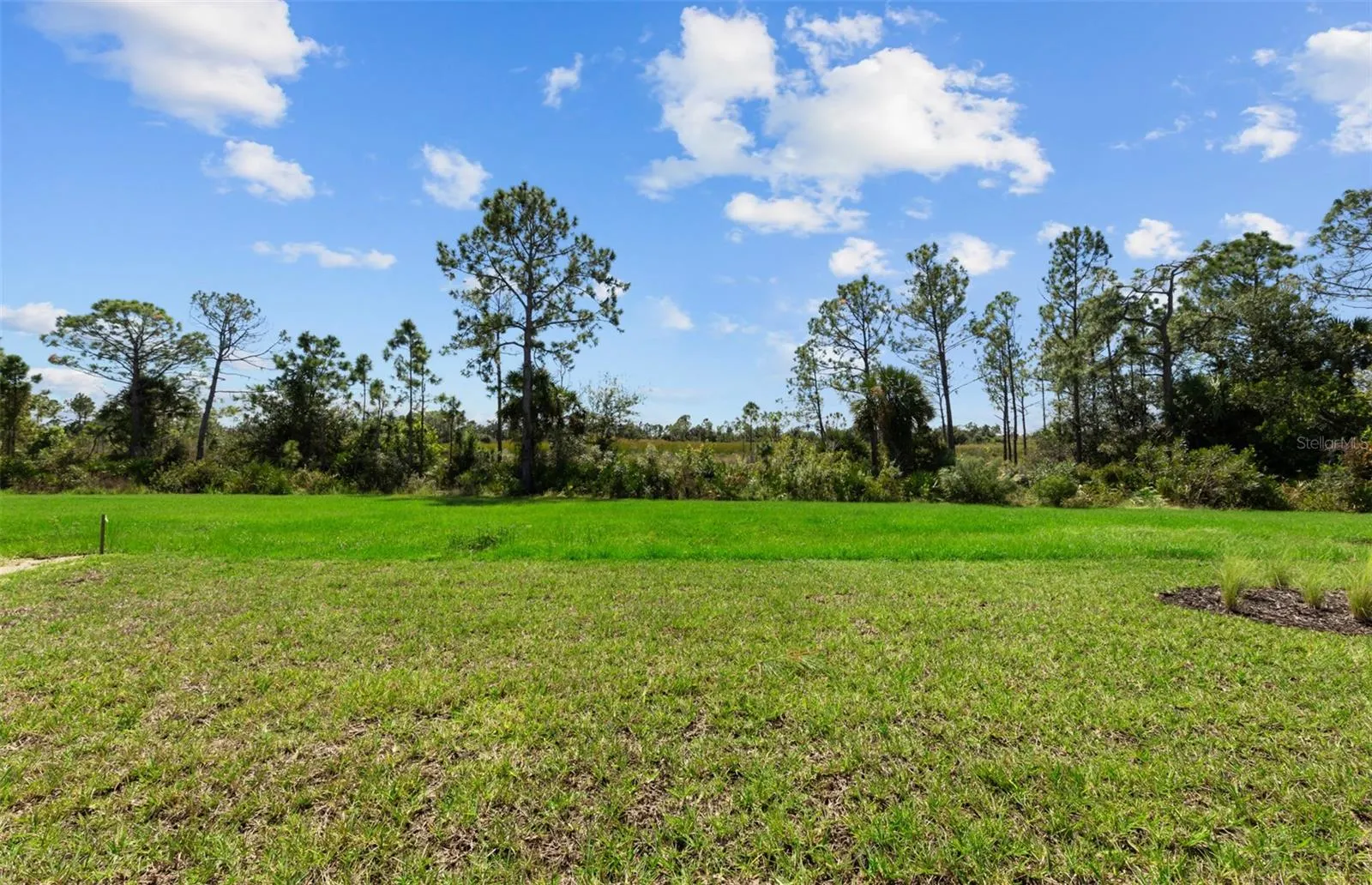 1821 PEPPER GRASS DR