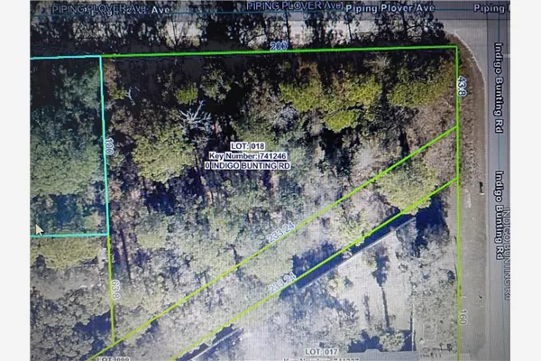 12449 INDIGO BUNTING