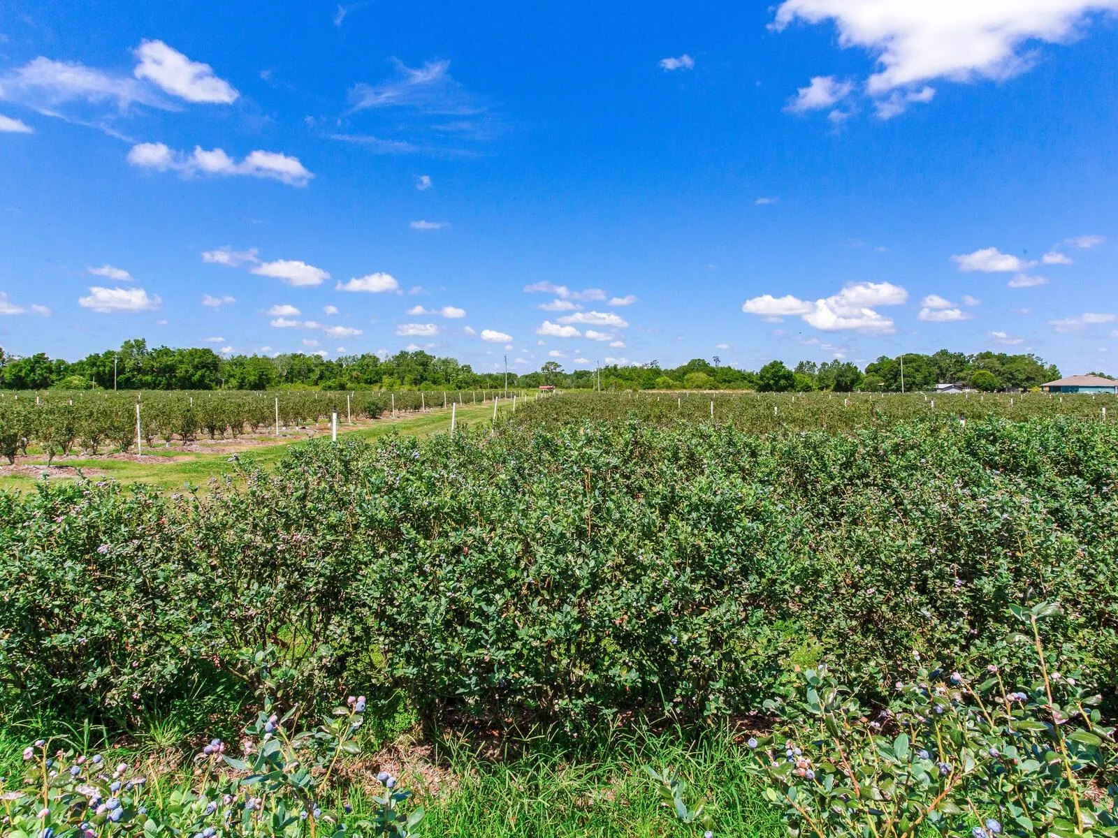 3674 E STATE ROAD 64