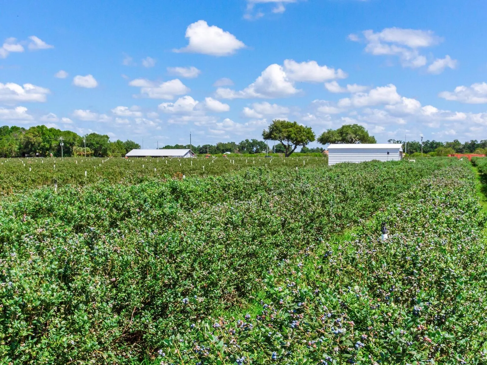 3674 E STATE ROAD 64