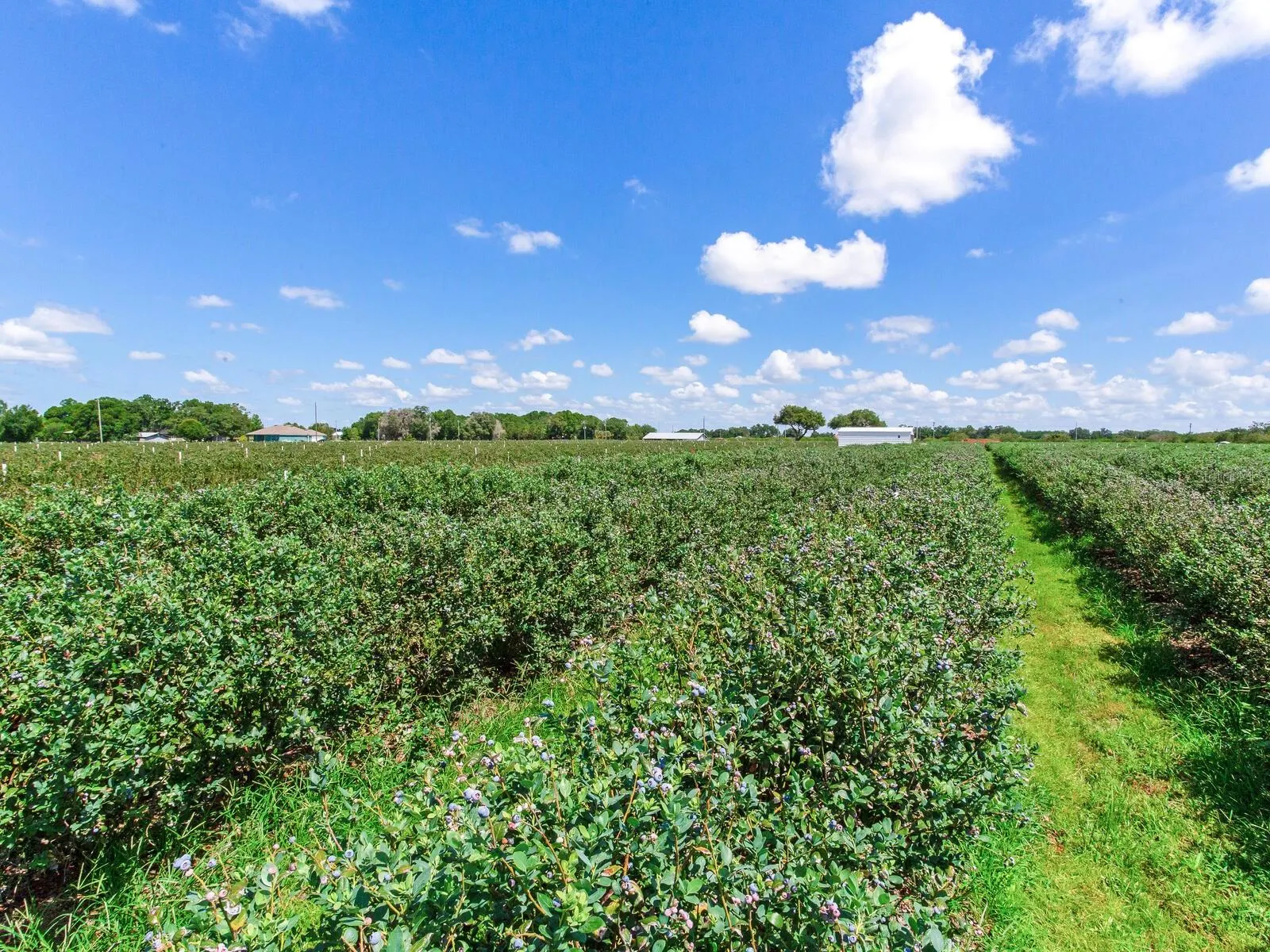 3674 E STATE ROAD 64